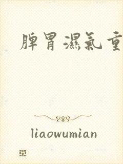 脾胃湿气重反应