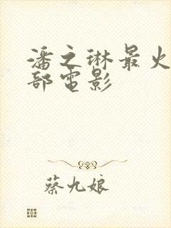 潘之琳最火的三部电影