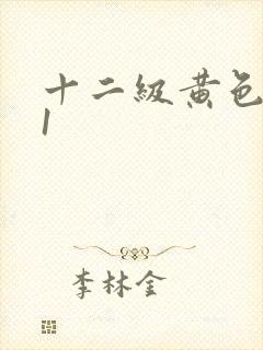 十二级黄色片91
