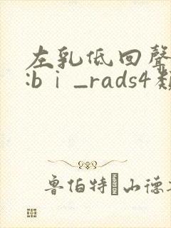 左乳低回声结节:bⅰ_rads4类