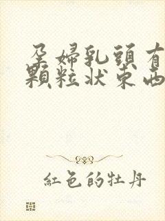 孕妇乳头有白色颗粒状东西