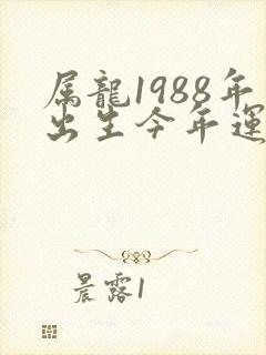 属龙1988年出生今年运程