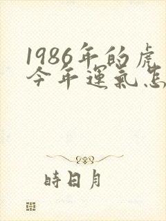 1986年的虎今年运气怎么样