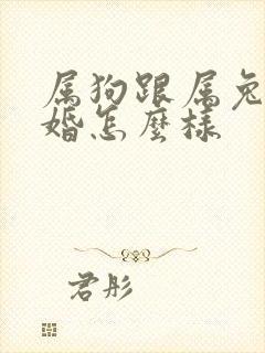 属狗跟属兔的结婚怎么样