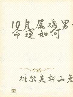 10月属鸡男性命运如何
