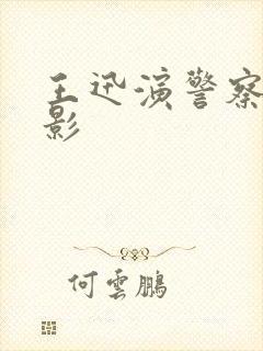 王迅演警察的电影