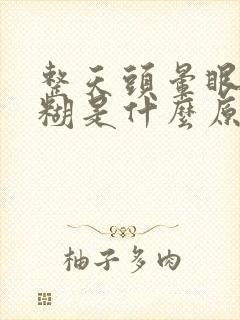 整天头晕眼睛模糊是什么原因封面