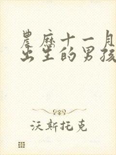 农历十一月十八出生的男孩子命运好吗?