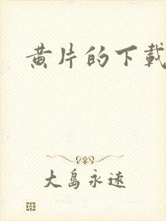 黄片的下载安装