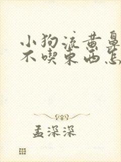 小狗流黄鼻涕也不吃东西怎么办