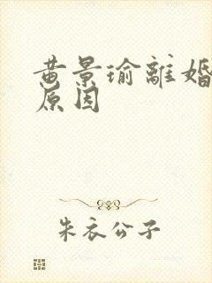 黄景瑜离婚真实原因