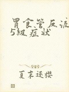 胃食管反流分级5级症状