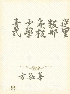 青少年叛逆封闭式学校哪里有封面