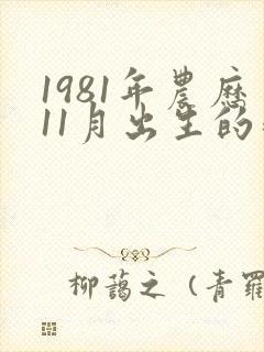 1981年农历11月出生的鸡命运