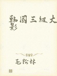 韩国三级大胸电影封面