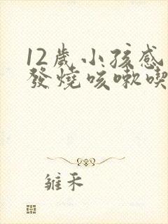 12岁小孩感冒发烧咳嗽吃什么药