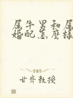 属牛男和属龙女婚配怎么样封面