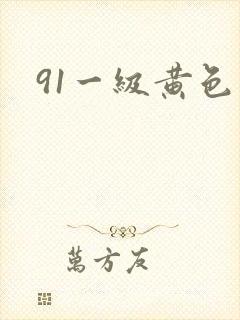 91一级黄色片