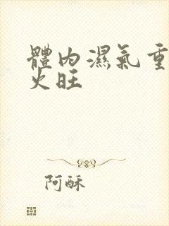 体内湿气重 肝火旺