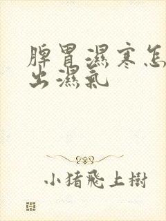 脾胃湿寒怎么排出湿气封面