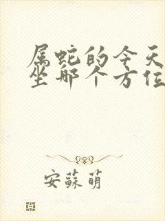 属蛇的今天打牌坐哪个方位好