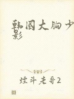 韩国大胸少妇电影