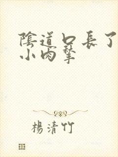 阴道口长了一些小肉揪