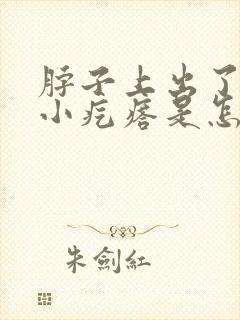 脖子上出了很多小疙瘩是怎么回事