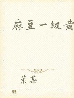 麻豆一级黄色片