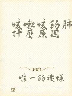 咳嗽咳的肺疼是什么原因封面