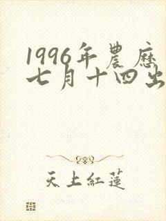 1996年农历七月十四出生是什么命