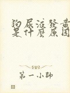 狗尿液发黄很稠是什么原因