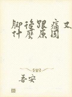 脚后跟痛又肿是什么原因