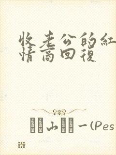 收老公的红包高情商回复