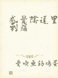 感觉阴道里面有刺痛