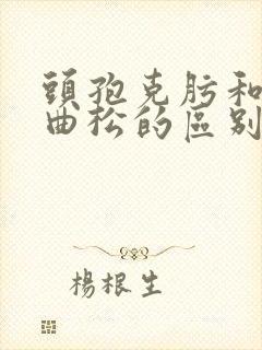 头孢克肟和头孢曲松的区别封面