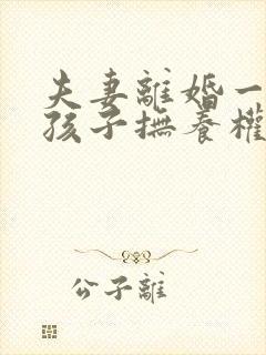 夫妻离婚一个男孩子抚养权怎么判定