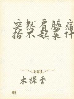 突然肩膀痛手臂抬不起来什么原因封面