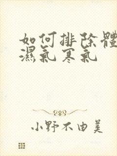 如何排除体内的湿气寒气