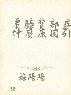 肩膀背部疼痛是什么原因引起的