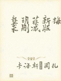 龚玥菲新梅瓶2未删减版