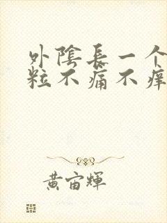 外阴长一个小肉粒不痛不痒图片