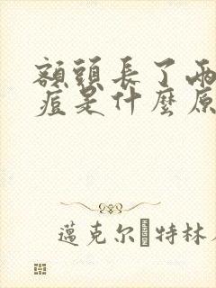 额头长了两个痘痘是什么原因