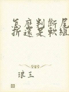 怎么判断尾骨骨折还是软组织受伤封面