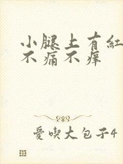 小腿上有红点点不痛不痒