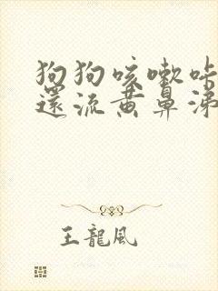 狗狗咳嗽咔咔声还流黄鼻涕