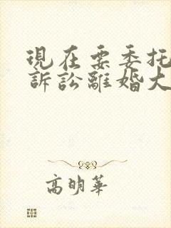 现在要委托律师诉讼离婚大概需要多少钱封面