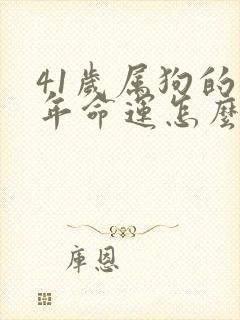 41岁属狗的今年命运怎么样
