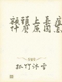 额头上长痘痘是什么原因怎样调理