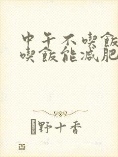 中午不吃饭晚上吃饭能减肥吗封面